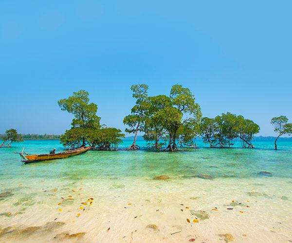 Andaman Family Packages
