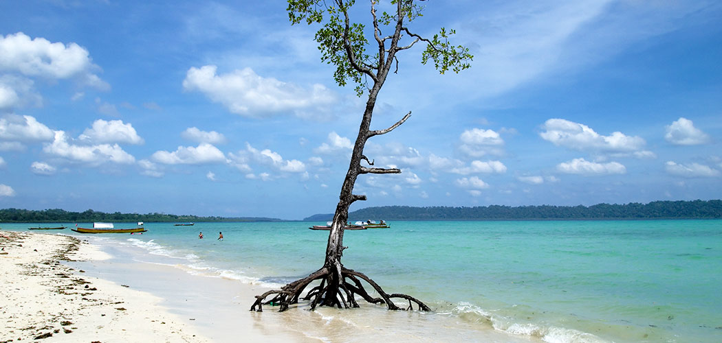 Havelock Island