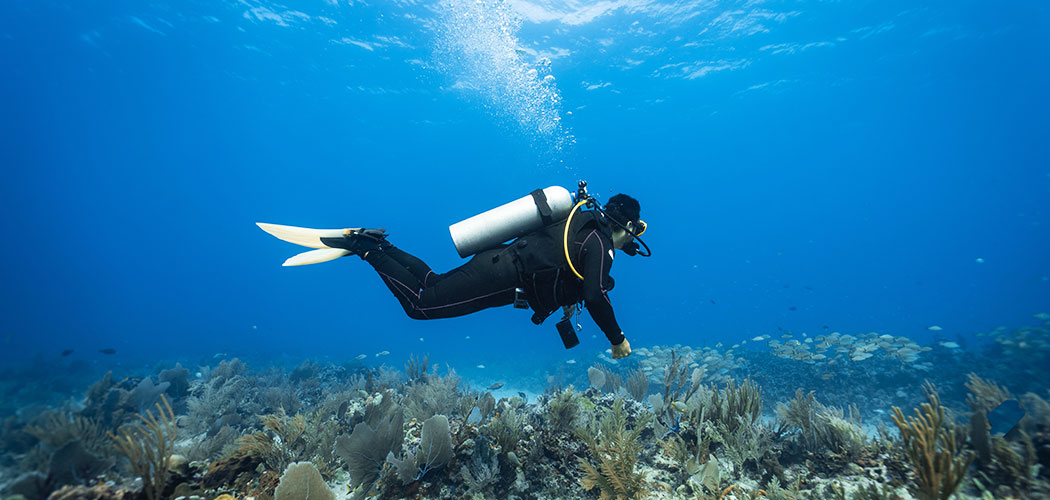 Scuba Diving