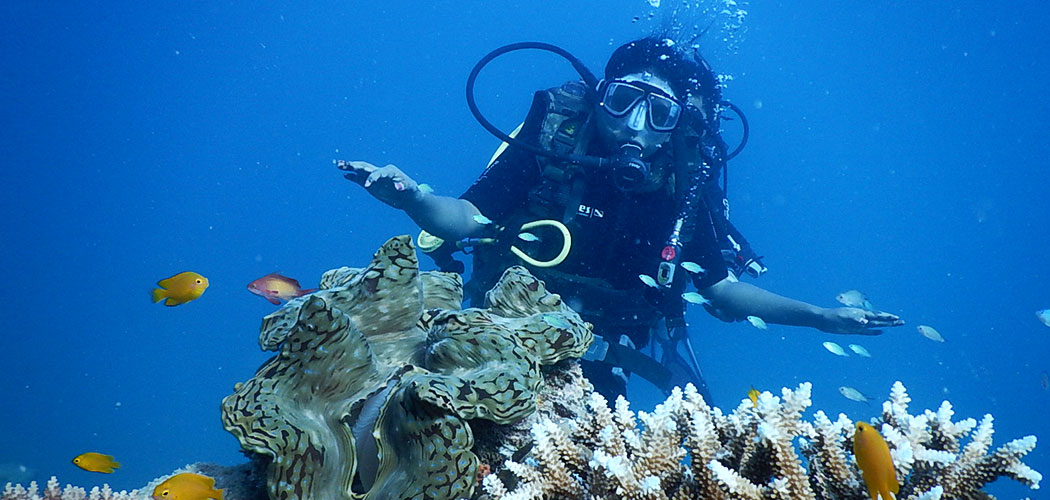 Scuba Diving in Havelock