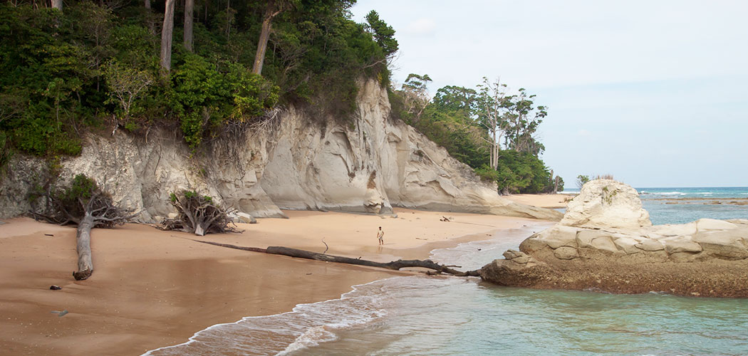 Neil Island Beach Hopping