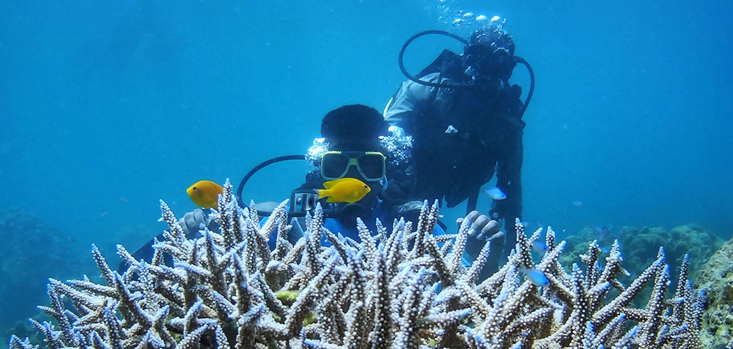 Scuba Diving in Andaman